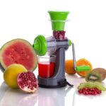 0074 Fruit and Vegetable Juicer nano or mini Juicer - Your Brand